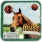HORSE - MEGA MARBLES - MEGA MARBLES 24+1 (2009-2013) (FACE)